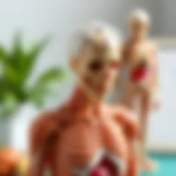 Educational toy featuring anatomical models