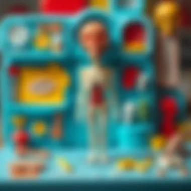 Interactive elements of anatomy playset