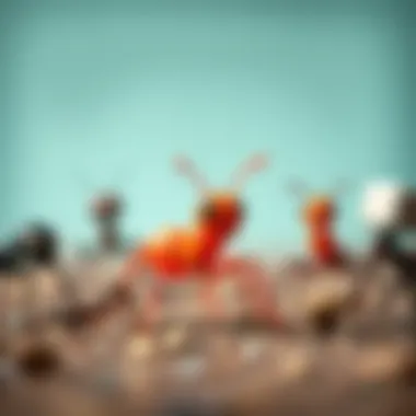 An overview of various ant toys promoting developmental skills