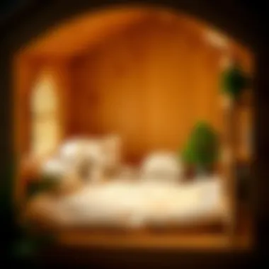 Cozy Interior of a Cat House Cozy interior of a wooden cat house with soft bedding